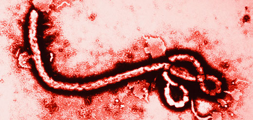 Blog-title-image-ebola-dc